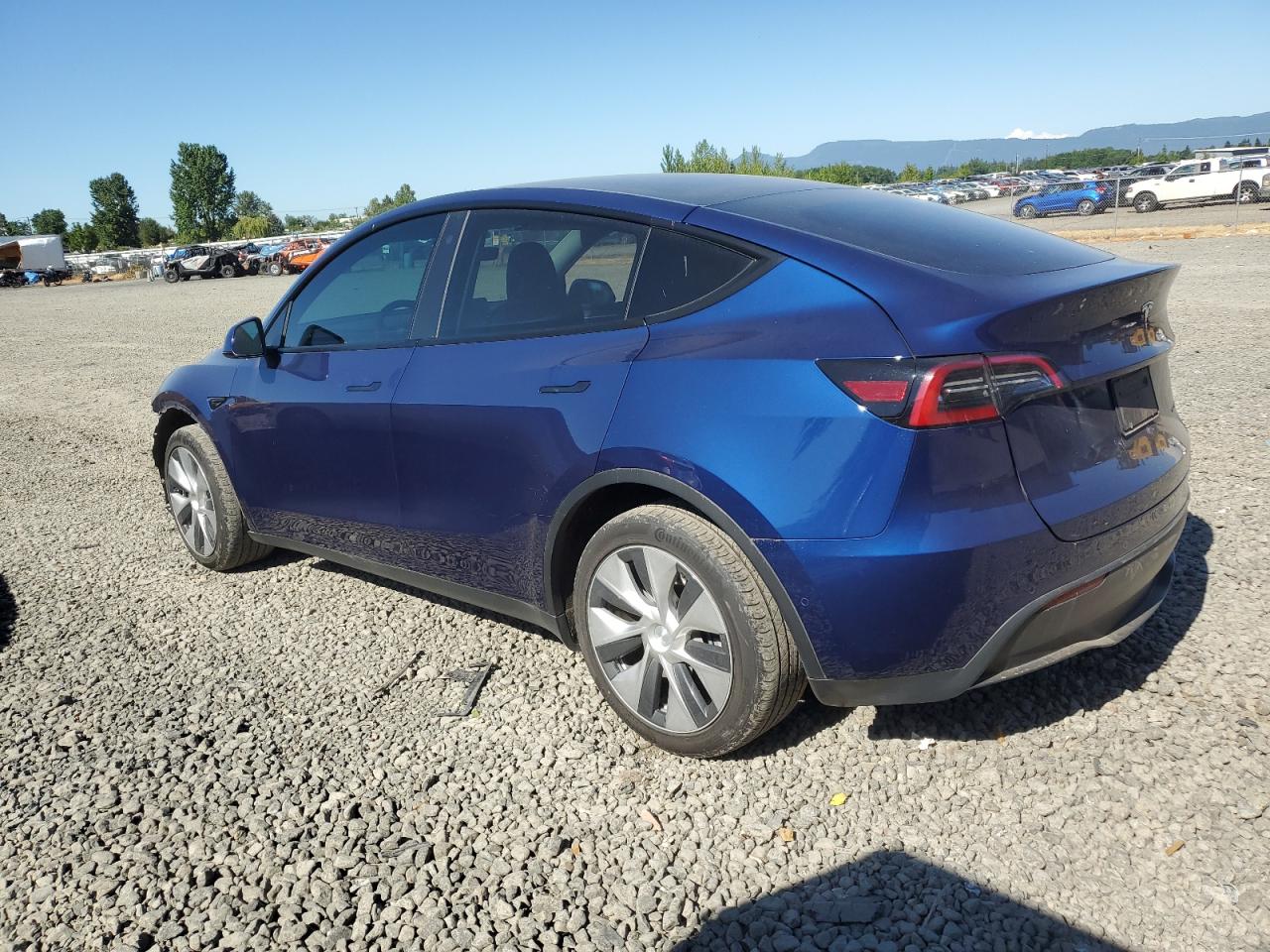 2023 TESLA MODEL Y  VIN:7SAYGDEE2PF585351