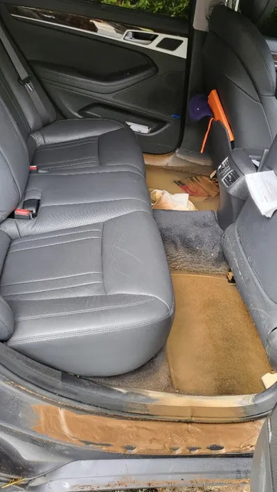 2016 acupuncture nessis 3.8 VIN: