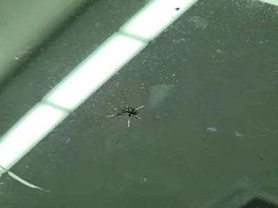 2021 Volvo XC60 YV1UZ062CN1905866 VIN:YV1UZ062CN1905866