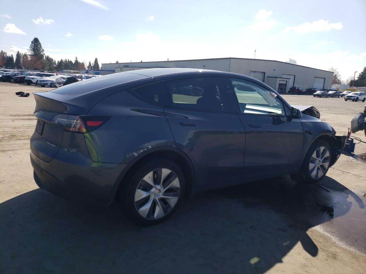 2023 TESLA MODEL Y  VIN:7SAYGDEE9PF862819