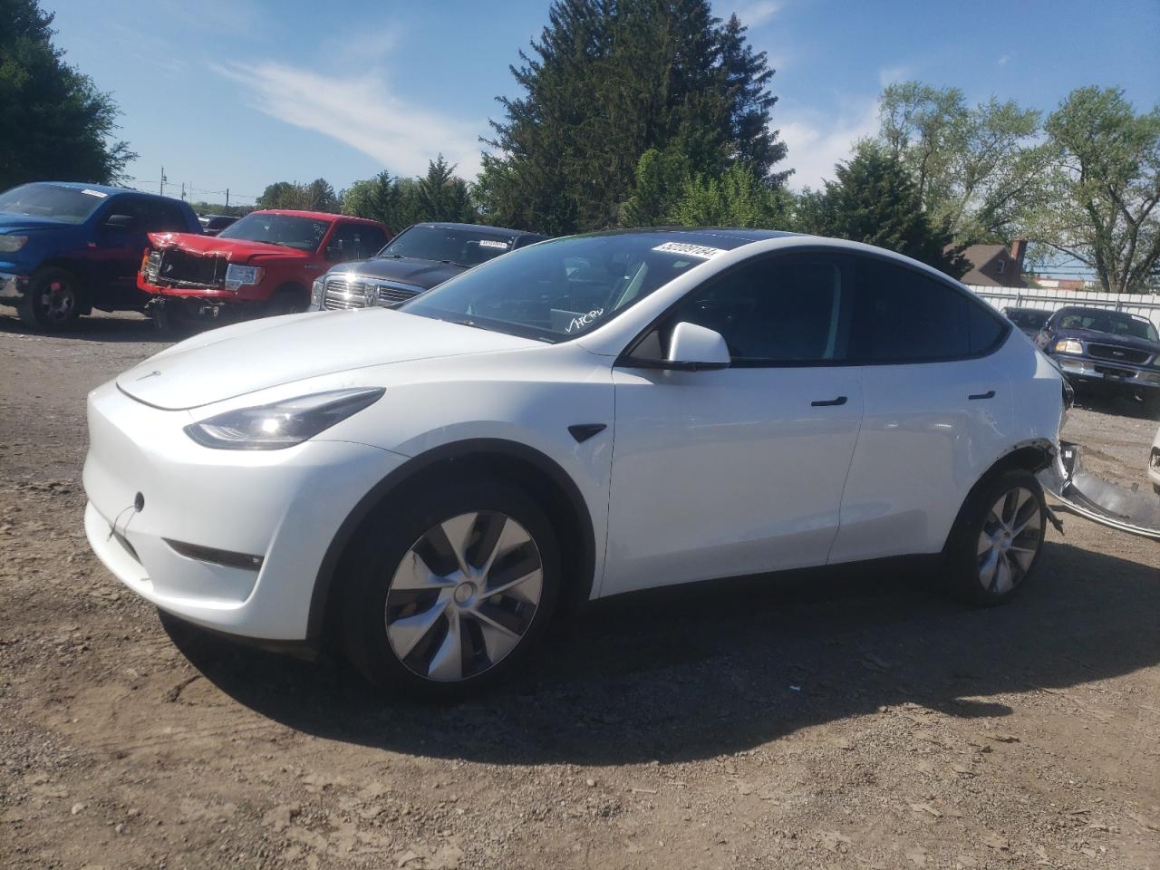 2023 TESLA MODEL Y  VIN:7SAYGDEE2PF685336