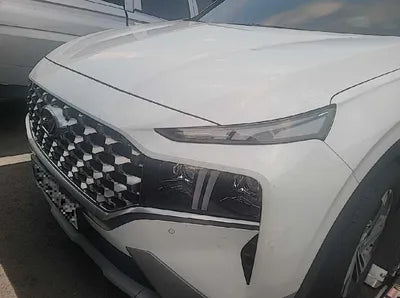 2021 Hyundai Santa FE KMHS381HHMU415644 VIN:KMHS381HHMU415644