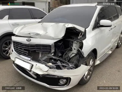 2017 Kia Carnival KNAME81ABJS349056 VIN:KNAME81ABJS349056