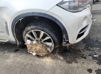 2015 BMW 630 WBAKV2101F0N23313 VIN:WBAKV2101F0N23313