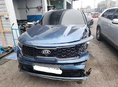 2021 Kia Sorento KNARH81GDMA027216 VIN:KNARH81GDMA027216