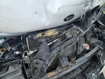 2020 Kia Carnival KNANC81BBMS004700 VIN:KNANC81BBMS004700