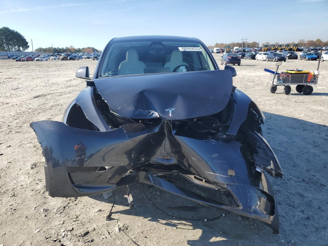 2024 TESLA MODEL Y  VIN:7SAYGDEE1RF994251