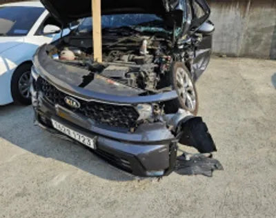 2021 Kia Sorento KNARL81BGMA078047 VIN:KNARL81BGMA078047
