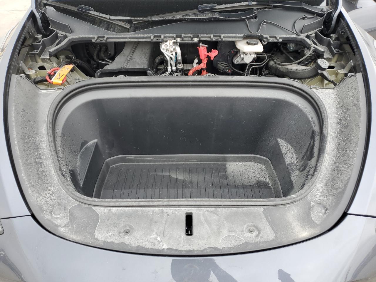 2023 TESLA MODEL Y  VIN:7SAYGDEE5PA129647