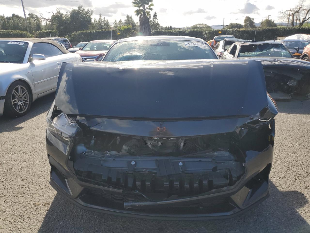 2024 FORD MUSTANG  VIN:1FA6P8TH5R5133106