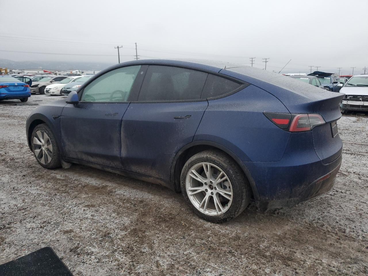 2022 TESLA MODEL Y  VIN:7SAYGDEE9NF356601