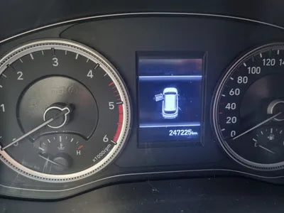 2019 Hyundai Santa FE KMHS281BBKU149812 VIN:KMHS281BBKU149812