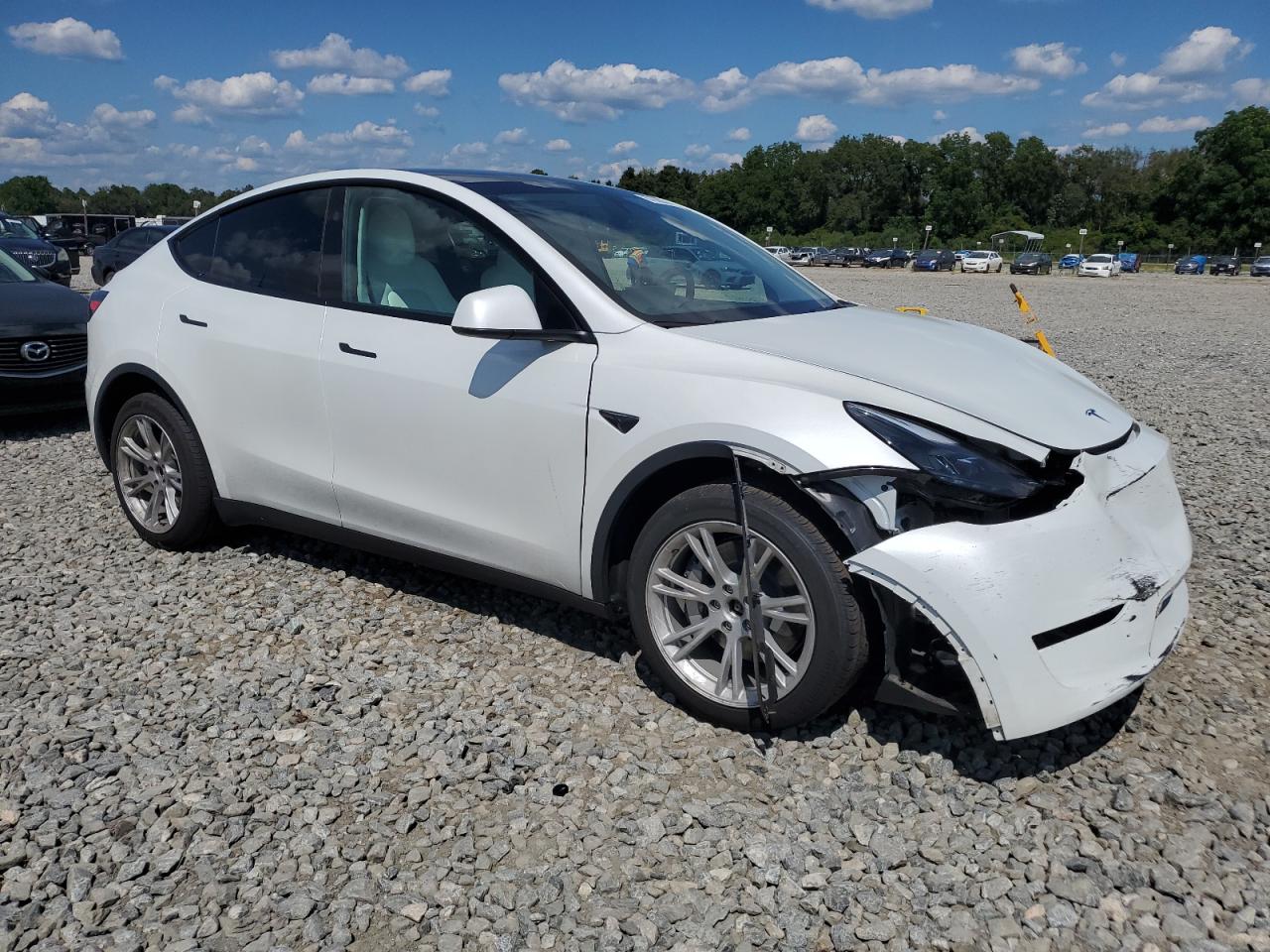 2023 TESLA MODEL Y  VIN:7SAYGDEE2PF794816