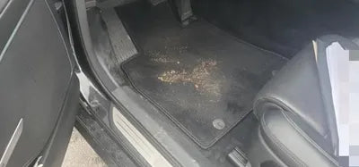 2018 Genesis G70 VIN: