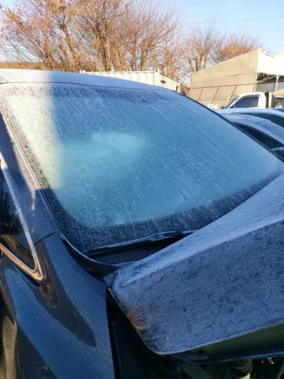 2017 Kia Carnival VIN: