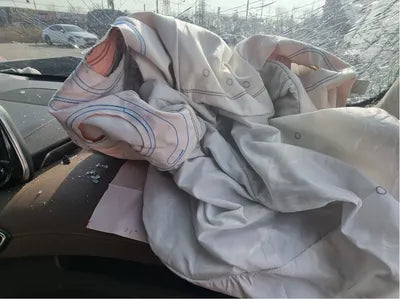 2020 Hyundai Santa FE KMHS381ADLU216986 VIN:KMHS381ADLU216986