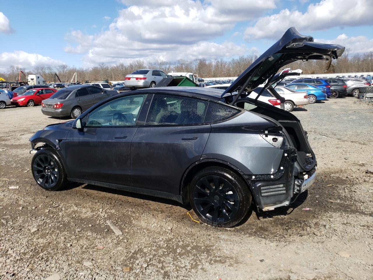 2024 TESLA MODEL Y  VIN:7SAYGDEDXRF042808