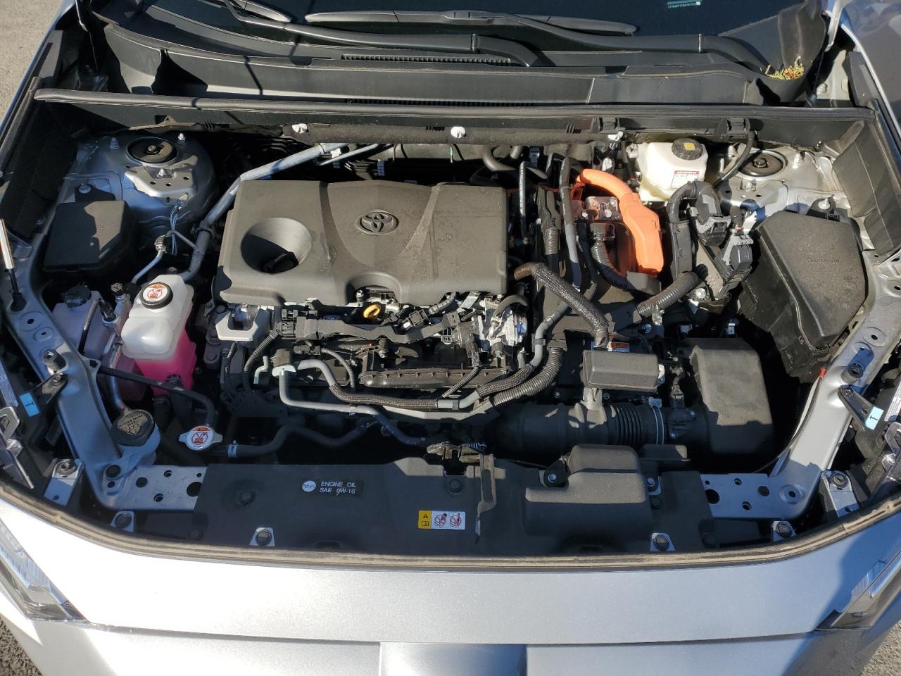 2024 TOYOTA RAV4 XLE VIN:2T3RWRFV5RW192330