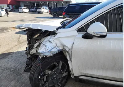 2021 Hyundai Santa FE KMHS381HGMU310393 VIN:KMHS381HGMU310393