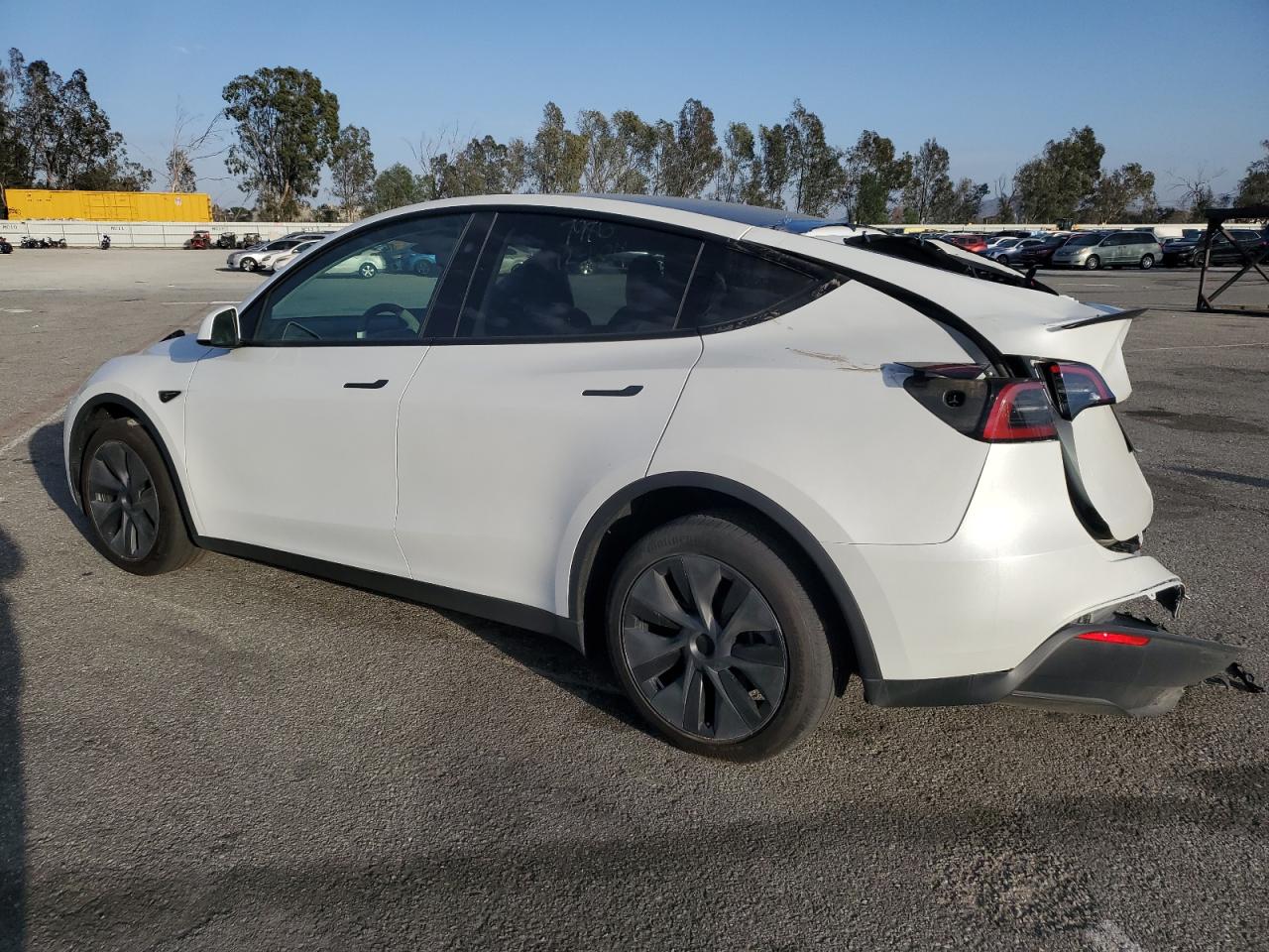 2024 TESLA MODEL Y VIN:7SAYGDED6RF110635