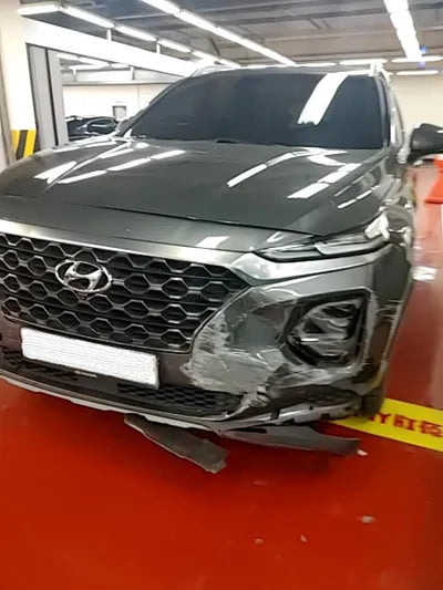 2019 Hyundai Santa FE 500KMKMHS381BBKU1 VIN:500KMKMHS381BBKU1