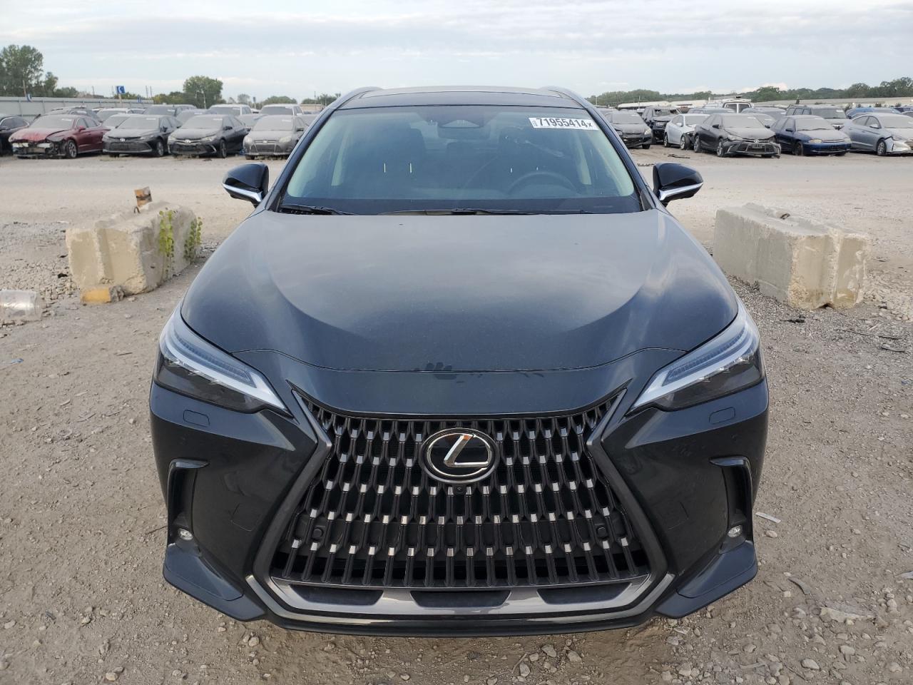 2024 LEXUS NX 350 LUXURY VIN:2T2HGCEZ6RC051878