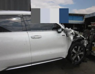 2021 Kia Sorento KNARL81BGNA139785 VIN:KNARL81BGNA139785