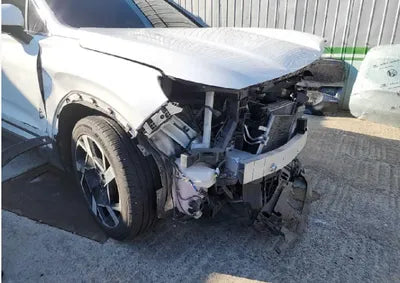 2021 Hyundai Santa FE KMHS381HGMU310393 VIN:KMHS381HGMU310393