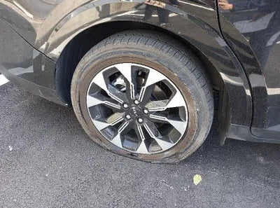 2022 Kia Carnival KNANC81BBNS149632 VIN:KNANC81BBNS149632