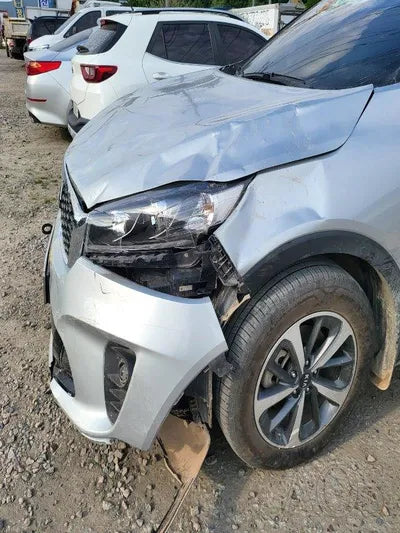 2019 Kia Sorento KNAPG81ADKA519065 VIN:KNAPG81ADKA519065