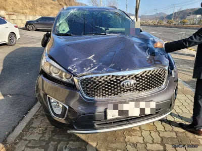 2016 Kia Sorento KNAPS81ABGA199692 VIN:KNAPS81ABGA199692