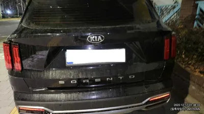 2021 Kia Sorento KNARH81BGMA088913 VIN:KNARH81BGMA088913