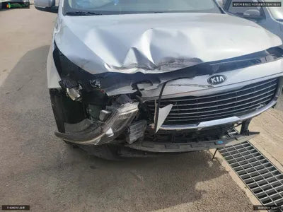 2015 Kia Carnival KNAMB81ABGS106057 VIN:KNAMB81ABGS106057