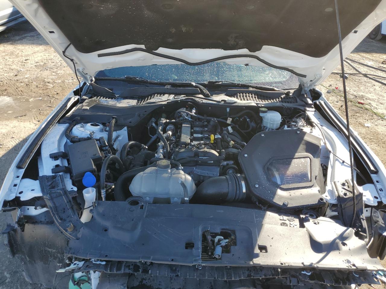 2023 FORD MUSTANG  VIN:1FA6P8TH8P5113381
