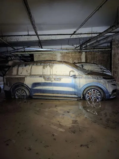 2021 Kia Carnival KNHNB37BBMS049575 VIN:KNHNB37BBMS049575