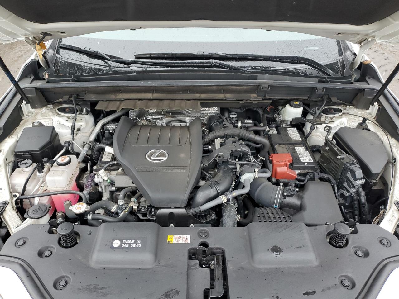 2022 LEXUS NX 350 VIN:2T2GGCEZXNC002950