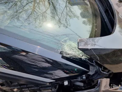 2019 BMW I3 WBY8P2103K7D97272 VIN:WBY8P2103K7D97272