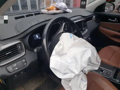 2019 Kia Sorento 187KMKNAPF81BBKA5 VIN:187KMKNAPF81BBKA5