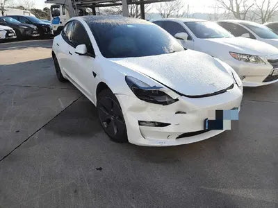 2022 Tesla Model 3 VIN: