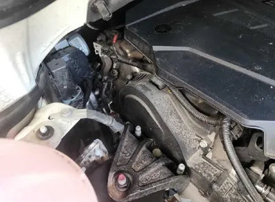 2021 Kia Carnival KNANE81BBMS067853 VIN:KNANE81BBMS067853