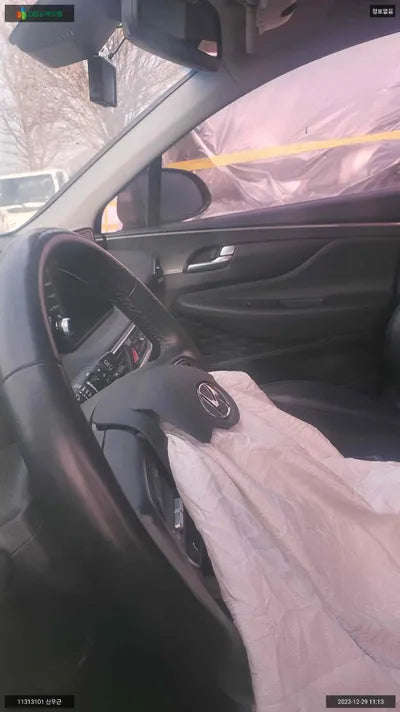 2018 Hyundai Santa FE KMHS281ABKU010272 VIN:KMHS281ABKU010272