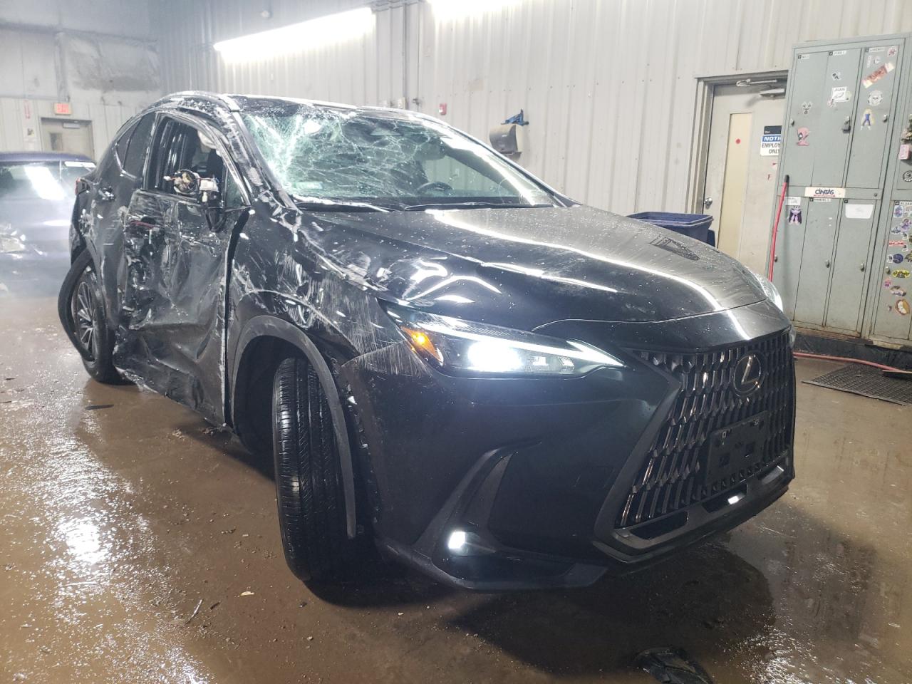 2022 LEXUS NX 250 VIN:2T2ADCAZ4NC002205