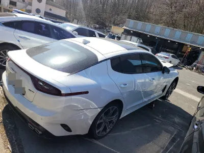 2020 Kia Stinger KNAE751CBLS082686 VIN:KNAE751CBLS082686