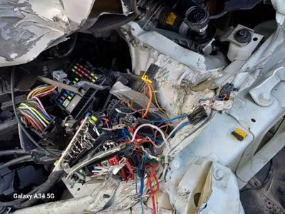 2023 Kia Carnival KNANE81BBPS247295 VIN:KNANE81BBPS247295