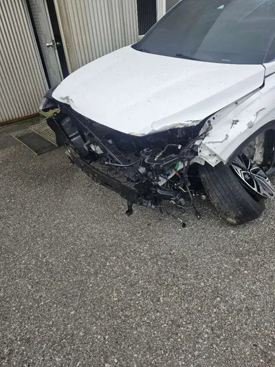 2019 Hyundai Santa FE KMHS381CBKU015688 VIN:KMHS381CBKU015688