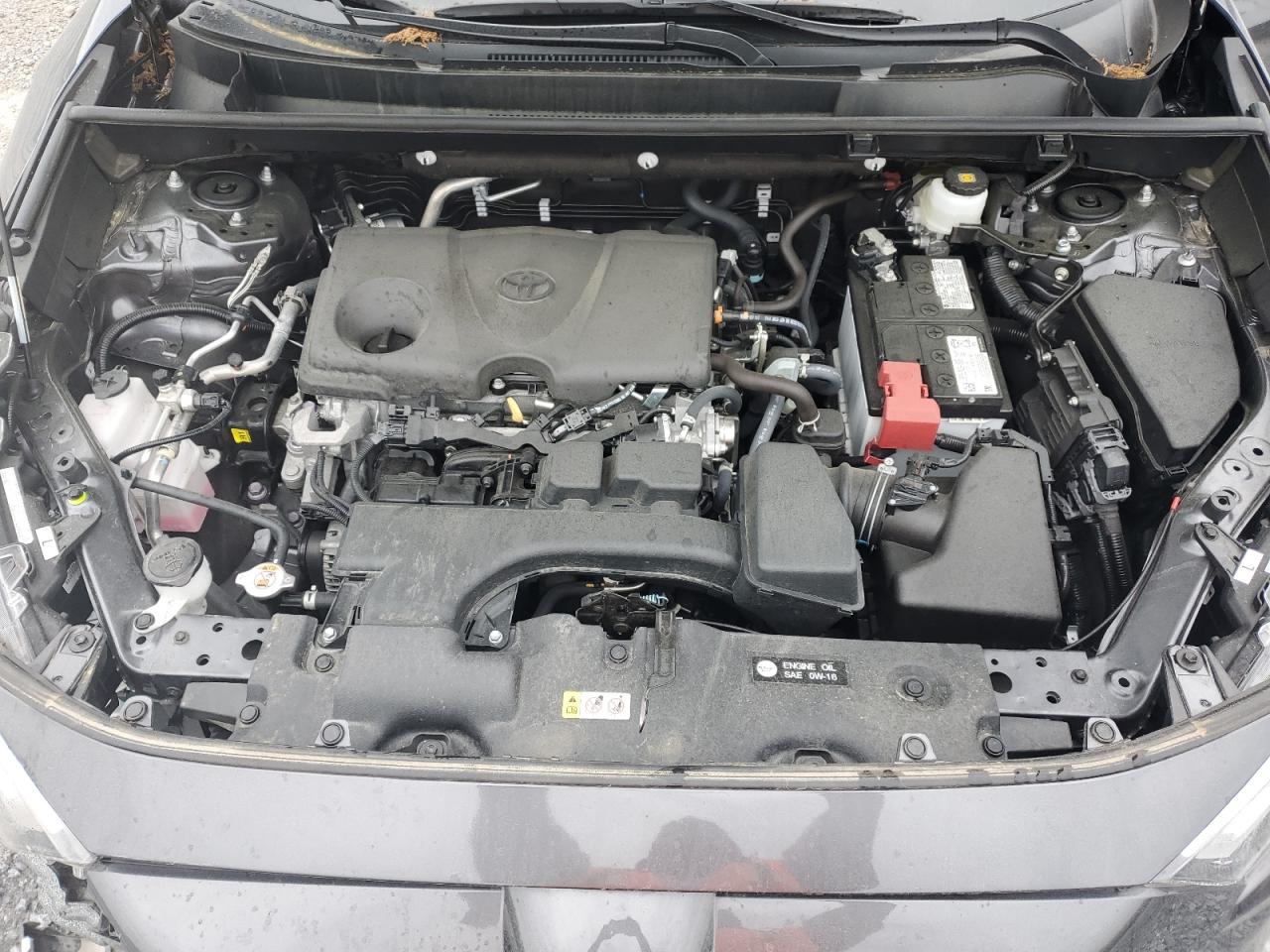 2023 TOYOTA RAV4 XLE VIN:2T3W1RFV0PC226593