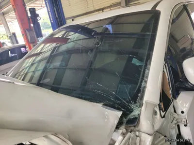 2019 Kia Carnival KNAMB81ABKS502641 VIN:KNAMB81ABKS502641