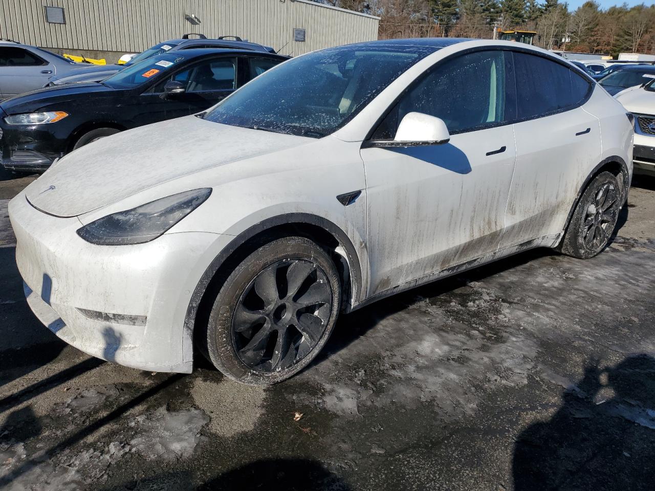 2022 TESLA MODEL Y  VIN:7SAYGDEE7NF307980