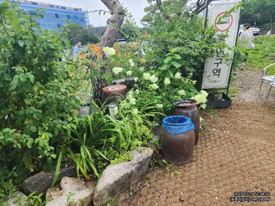 2020 BMW 740 WBA7T410XLCE40015 VIN:WBA7T410XLCE40015