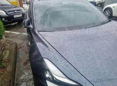 2020 Tesla Model 3 5YJ3E1EC9LF756312 VIN:5YJ3E1EC9LF756312